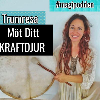 Guidad Trumresa möt ditt kraftdjur shamans trumma #magipodden Guidad Trumresa möt ditt kraftdjur shamans trumma #magipodden