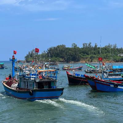 Bài 2: Từ “thẻ vàng” đến “cửa xanh”: kiến tạo nghề cá bền vững