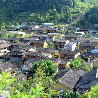 Bản tin vùng Đông Bắc ngày 19/10/2025 Bản tin vùng Đông Bắc ngày 19/10/2025