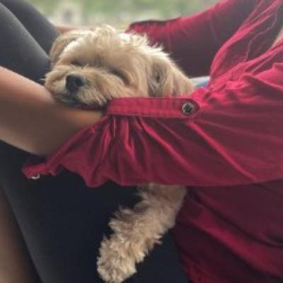 Dogmom