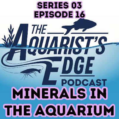 Why Minerals Matter in Your Freshwater Aquarium: GH, KH, Fish Health & Plant Growth Explained Why Minerals Matter in Your Freshwater Aquarium: GH, KH, Fish Health & Plant Growth Explained
