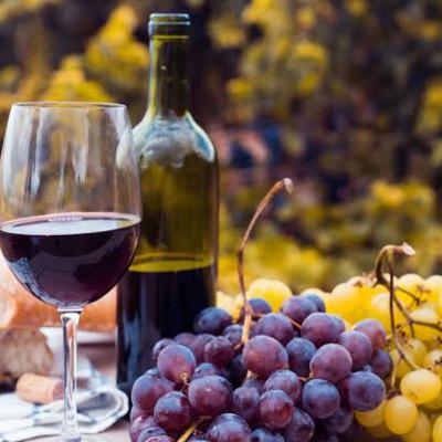 Viticultura, enología y sommelier