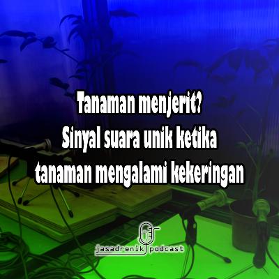 Tanaman menjerit ketika stress, sinyal suara unik ketika tanaman kekeringan