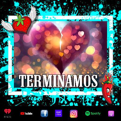 Terminamos Terminamos