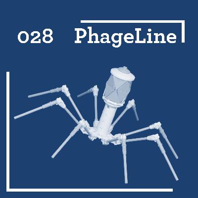 PhageLine #28: A Beginner’s Guide to Viral Diversity