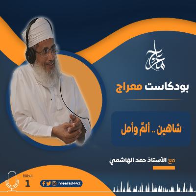 شاهين..ألمٌ وأمل
