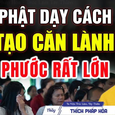 Lời Phật Dạy cách tạo căn lành chuyển nghiệp rất nhanh - Thầy Thích Pháp Hòa Lời Phật Dạy cách tạo căn lành chuyển nghiệp rất nhanh - Thầy Thích Pháp Hòa