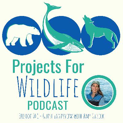Episode 061 - Amy Gulick connects wild salmon to the rest of the world through beautiful stories Episode 061 - Amy Gulick connects wild salmon to the rest of the world through beautiful stories