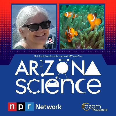 Studying the natural partnerships occurring among and between plant and animal species