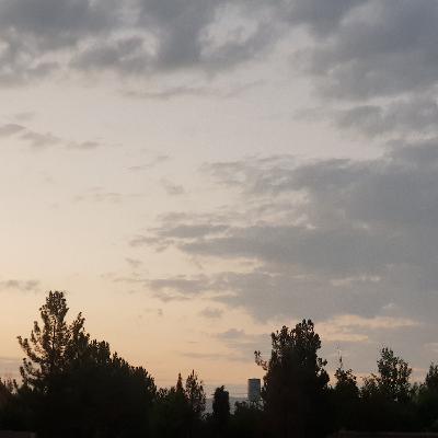 قوانین بازی فرزندپروری.نسیم غفوری نژاد