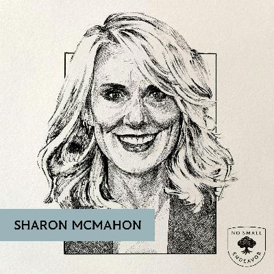 221: Sharon McMahon: Escaping the Partisan Trap