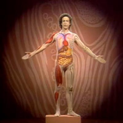 #4596 Hotel Clevafornia