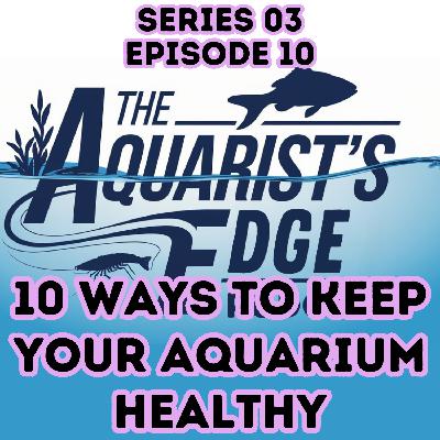 10 Proven Ways To Make Your Aquarium Healthier 10 Proven Ways To Make Your Aquarium Healthier