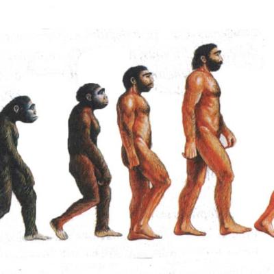 L’ecosistema dell ‘Antropocene
