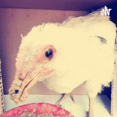 Building Community through Music: Alayna Alderman's Impact