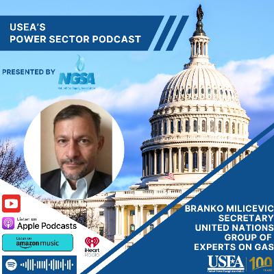 USEA Power Sector Podcast Episode 160: United Nations Secretary of the Group of Experts on Gas Branko Milicevic