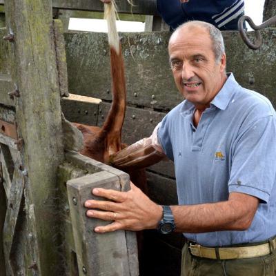 Nueva edición de los Cursos sobre Examen de Fertilidad en Toros Nueva edición de los Cursos sobre Examen de Fertilidad en Toros