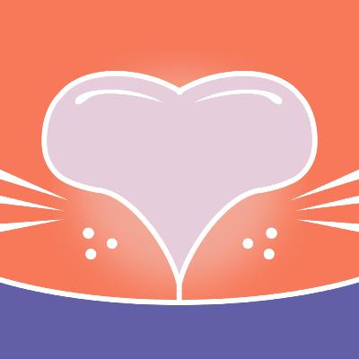 Как сделать своих кошек счастливыми? Как сделать своих кошек счастливыми?