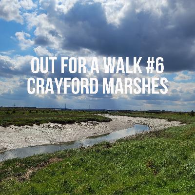 Out for a Walk #6 - Crayford Marshes