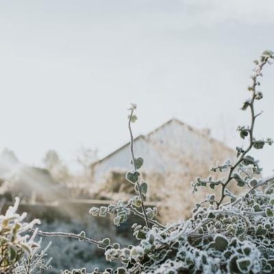 Snow forecast in southern counties  ahead of Storm Goretti
