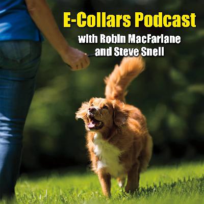 Collar Wise and Enforcement Wise - Episode 12 Collar Wise and Enforcement Wise - Episode 12