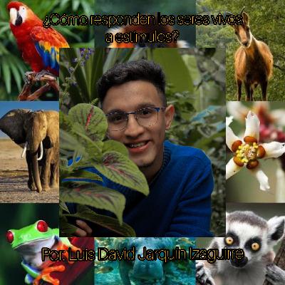 ¿Cómo responden los seres vivos a los estímulos?