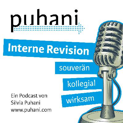 #419 Meilensteine im Follow-up der Internen Revision #419 Meilensteine im Follow-up der Internen Revision