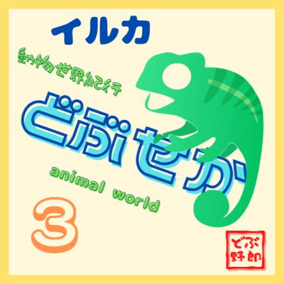 #3 イルカ～可愛さに隠れていろいろなモノをお持ちのようで～