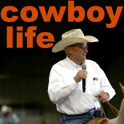 Steve Friskup, Western performance horse industry auctioneer at the most elite sales in the Western industry, NCHA, NRCHA and many more.