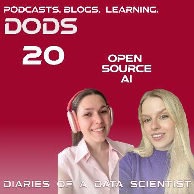 # 20 Who benefits from Open Source AI?