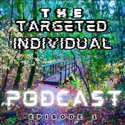 The Targeted Individual Podcast Episode 1