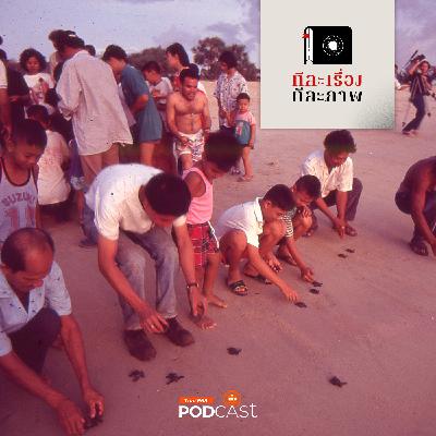 ทีละเรื่อง ทีละภาพ EP. 191: หาดไม้ขาว เต่ามะเฟือง และเฒ่าทะเลใจอารี ทีละเรื่อง ทีละภาพ EP. 191: หาดไม้ขาว เต่ามะเฟือง และเฒ่าทะเลใจอารี