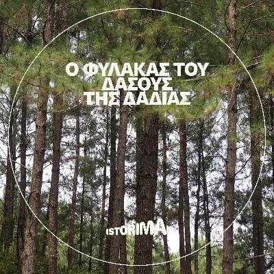 Ο φύλακας του δάσους της Δαδιάς