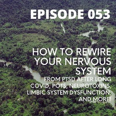 053 - How To Rewire Your Nervous System from PTSD after Long COVID, POTS, Neurotoxins, Limbic System Dysfunction, and More! 053 - How To Rewire Your Nervous System from PTSD after Long COVID, POTS, Neurotoxins, Limbic System Dysfunction, and More!