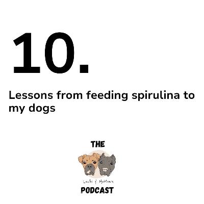 10. Lessons from feeding spirulina to my dogs