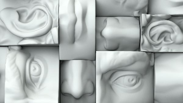 The Five Senses The Five Senses