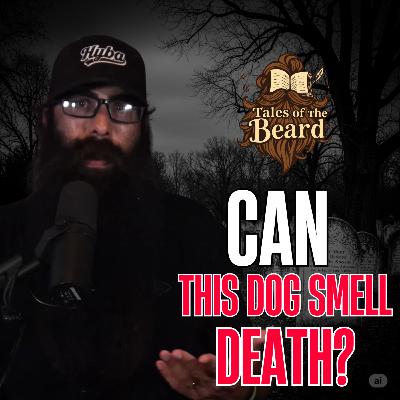 Can This Dog Really Sense Death?