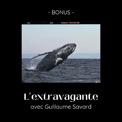 Bonus - L'extravagante avec Guillaume Savard Bonus - L'extravagante avec Guillaume Savard