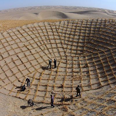 Can the desert bloom with forests and clean energy?