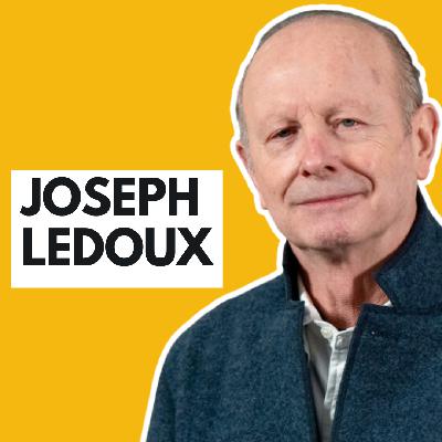 The Neuroscience of Emotions - Joseph LeDoux