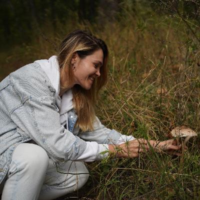 Грибные туры на Кубани Грибные туры на Кубани