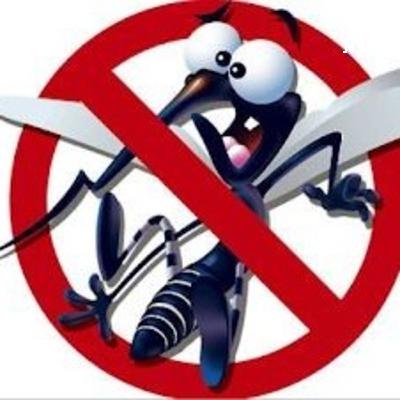El dengue