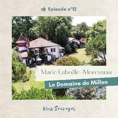 #12 ⟐ Transformer un domaine en gîte et lieu de vie avec Marie Laboille-Moresmau et le Domaine de Millon