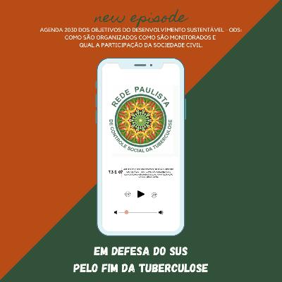 T.3 - Ep. 07: Agenda 2030 dos Objetivos do Desenvolvimento Sustentável - ODS: como são organizados como são monitorados e qual a participação da sociedade civil.
