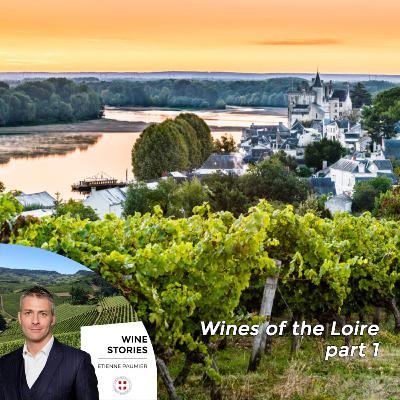 Wine Stories - S1E9 - Wines of the Loire p1
