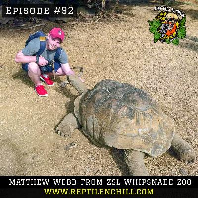 Matthew Webb from ZSL Whipsnade Zoo, Covid-19 zoo related issues - 92 Reptile n Chill Matthew Webb from ZSL Whipsnade Zoo, Covid-19 zoo related issues - 92 Reptile n Chill