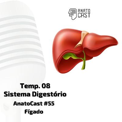 AnatCast #55 - Fígado AnatCast #55 - Fígado