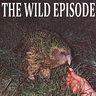 Kākāpō : Population Boom Kākāpō : Population Boom