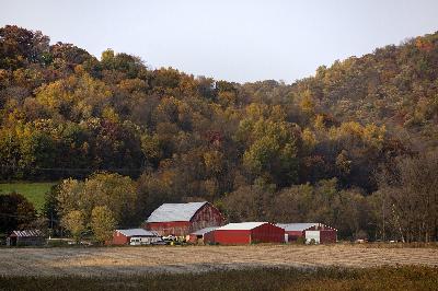 Podcasters reminisce about life on the farm, Soybean industry report, How to brew better coffee