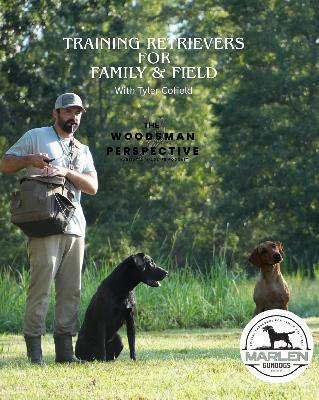 Training Retrievers for the Field and Family  With Tyler Cofield  of Marlen Gundogs Episode 61